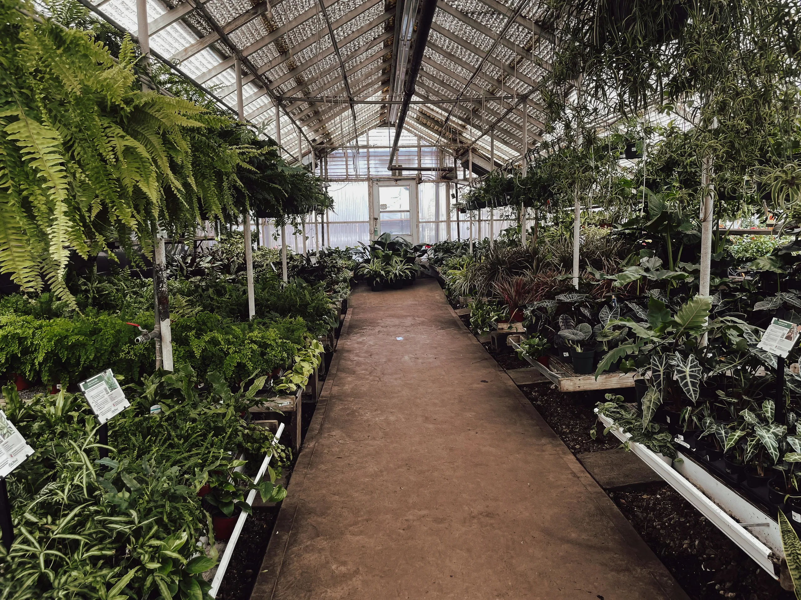 Amplia nave de venta con plantas