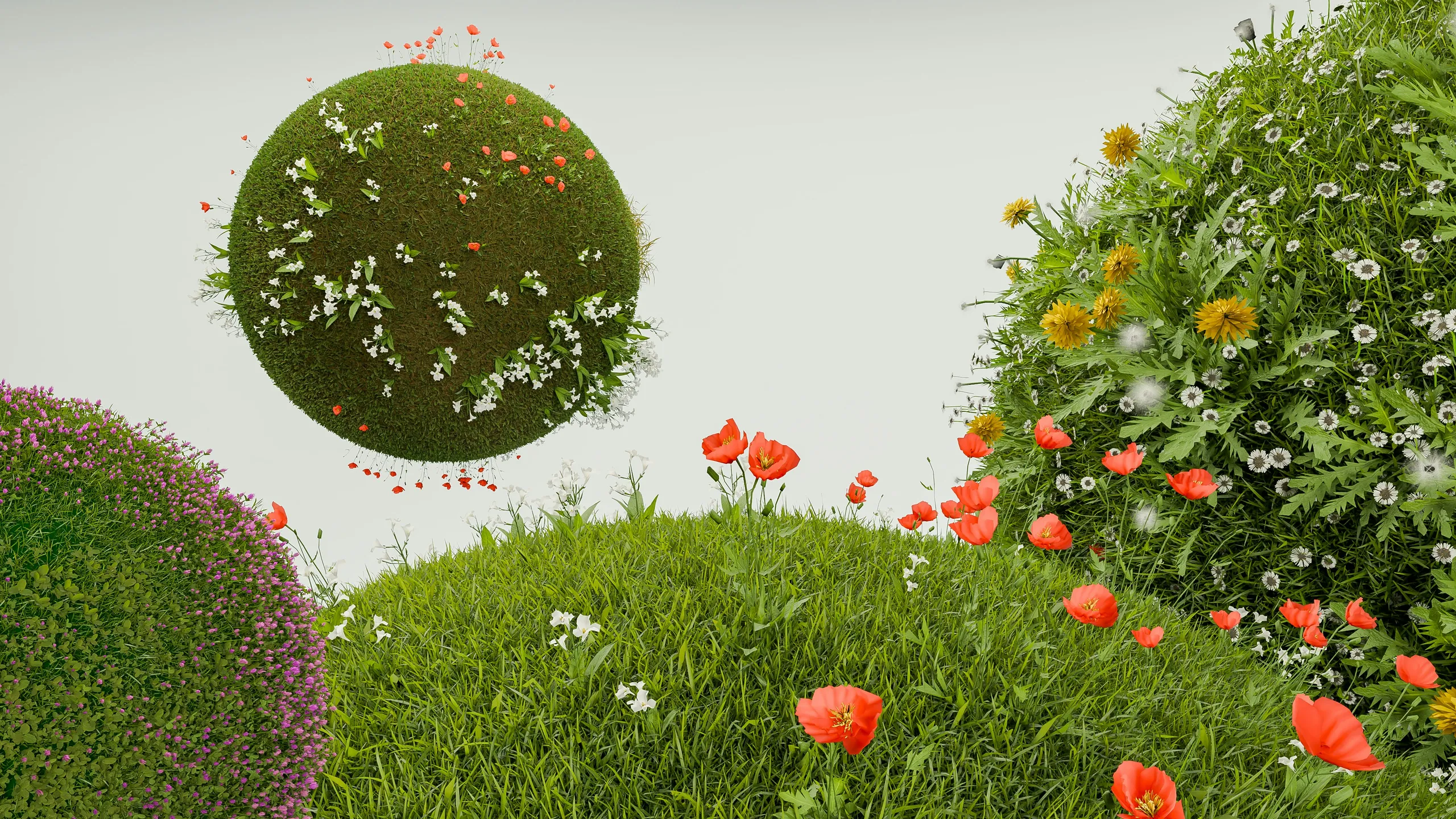 Plantas en flor y vegetación