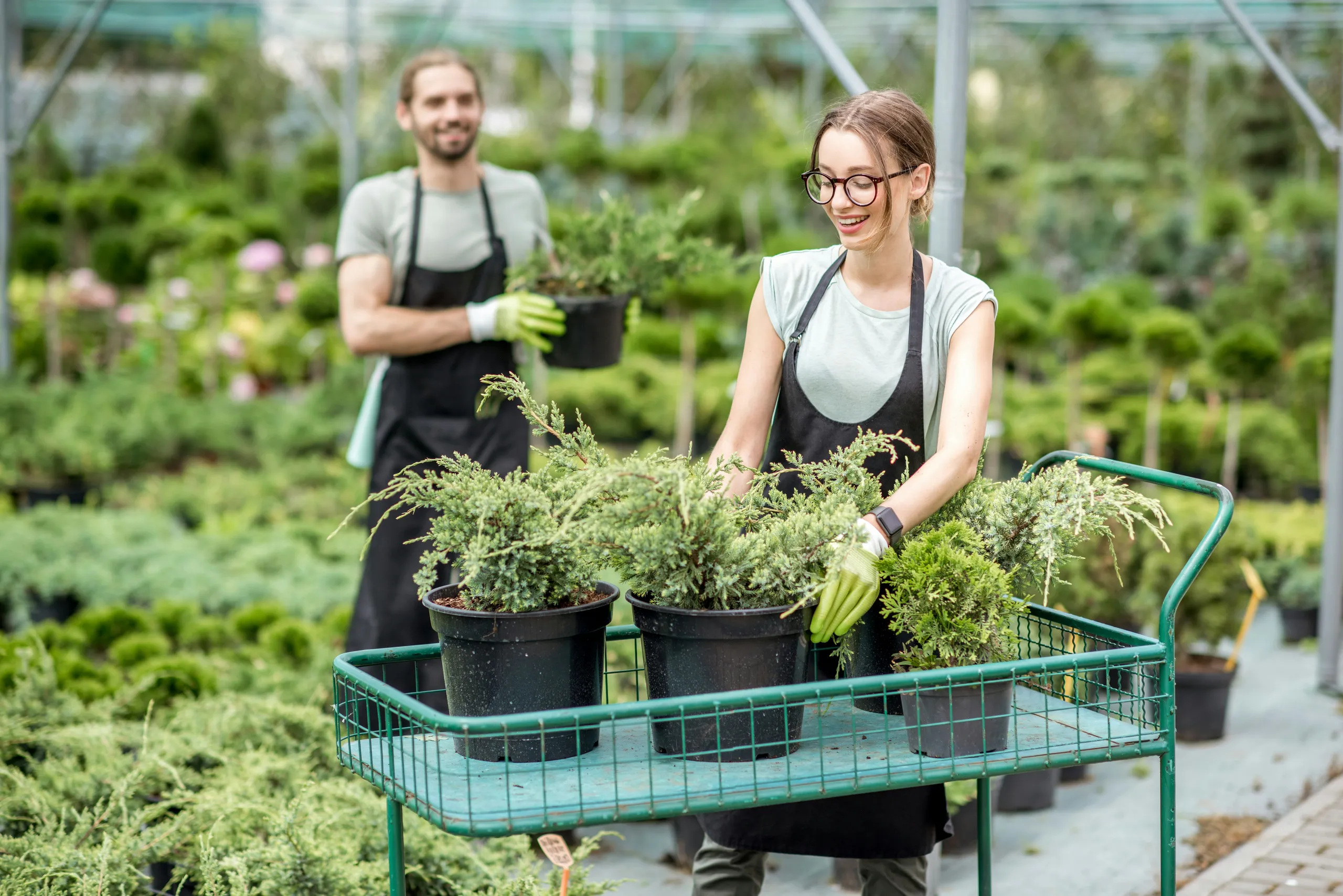 El equipo del centro de jardinería trabajando con las plantas